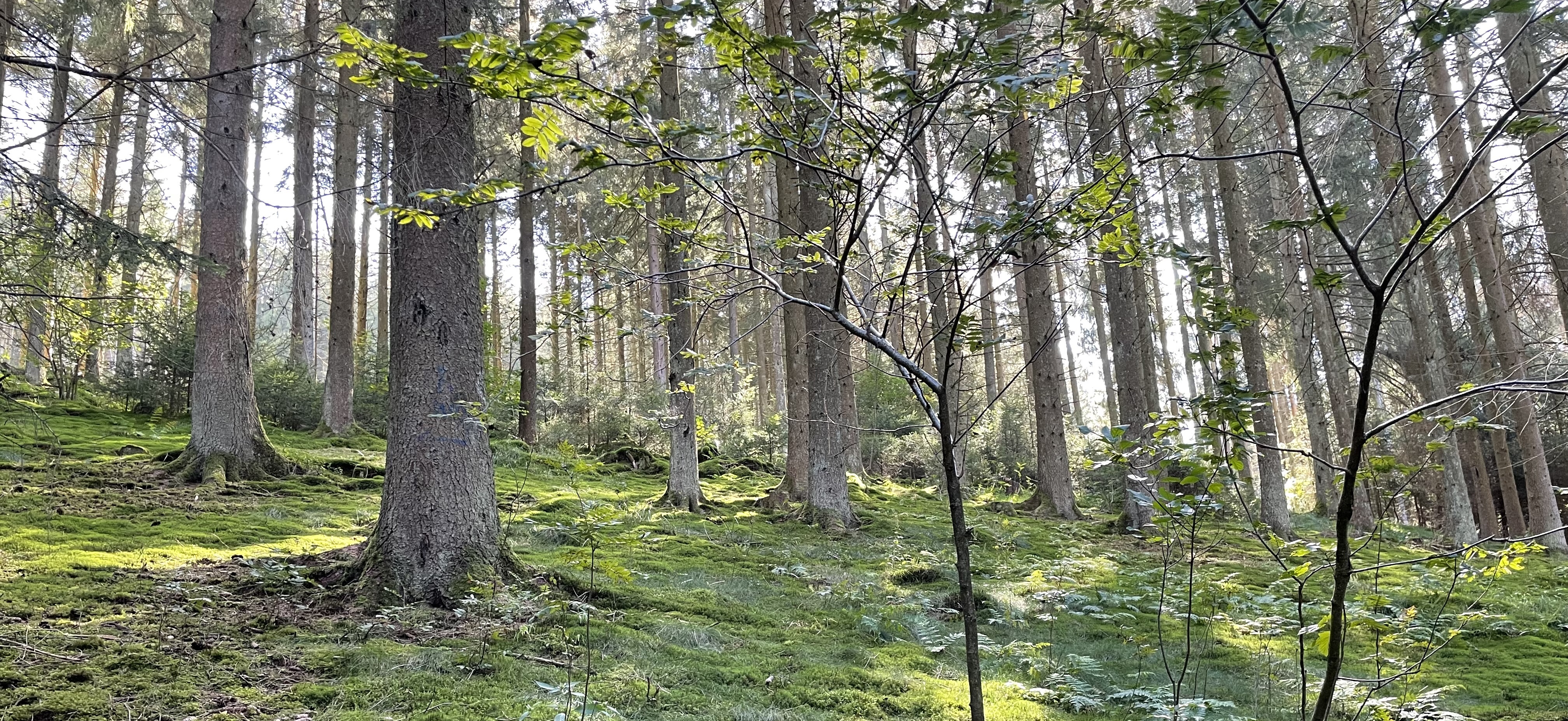 VSDW Kontakt breit.jpg
